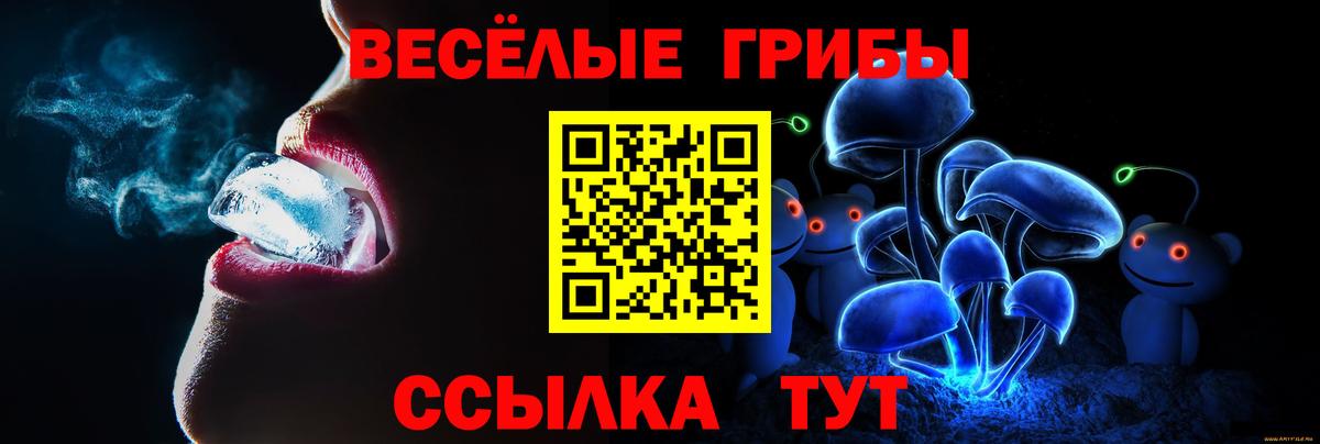Галлюциногенные грибы GOLDEN TEACHER  Вход с VPN  Ленинск-Кузнецкий 